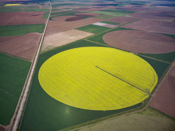 istock Center pivot irrigation system on a yellow rapeseed field aerial view 1321259251