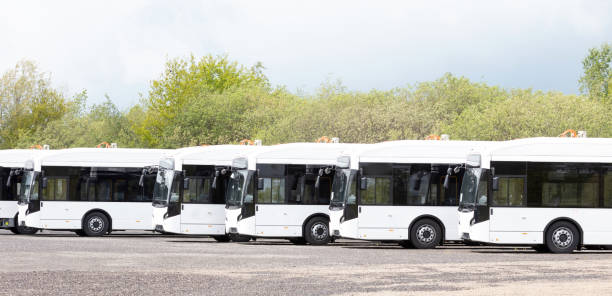 istock Long white busses, large capacity public transport 1321264542