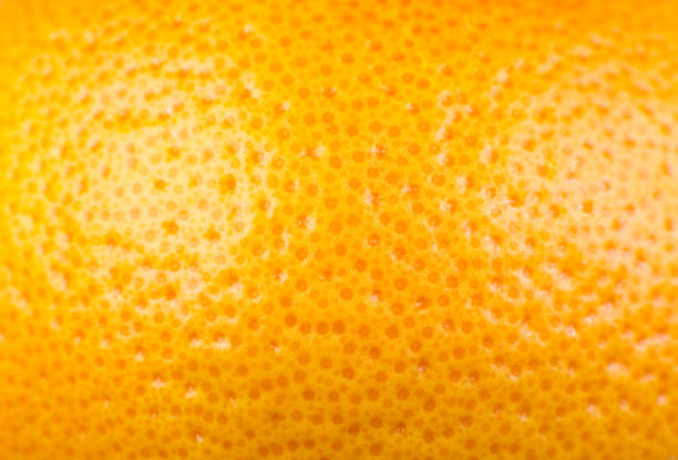 istock Close up photo of Grapefruit peel texture. Exotic ripe fruit, orange background, macro view. Human skin problem concept, acne and cellulite. Beautiful nature wallpaper. 1321265075