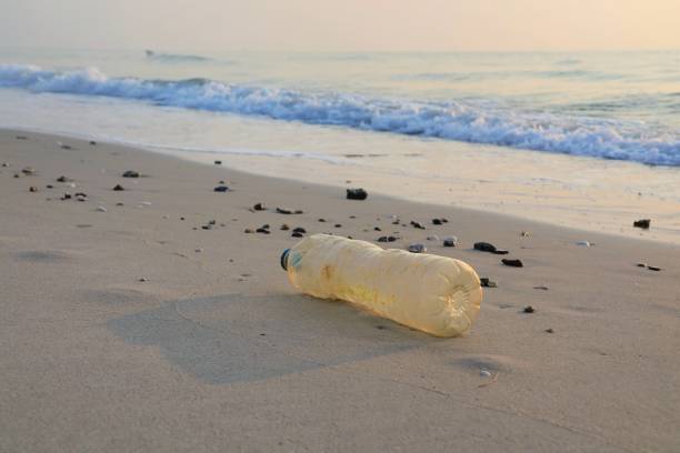 istock Garbage, plastic bottle, on the beach with shells on sand in summer morning. 1321266470