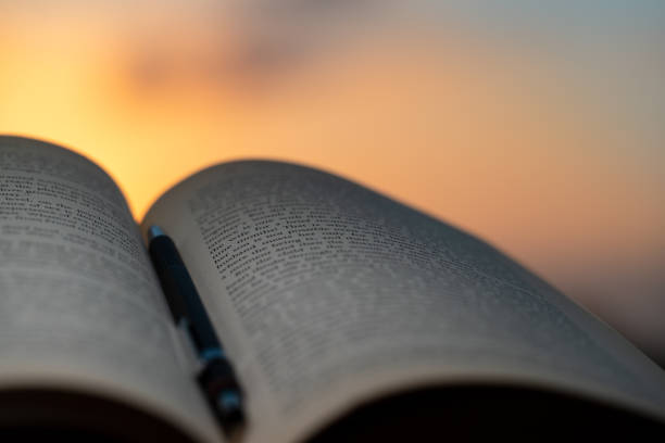 istock Reading Book Outdoors 1321271402