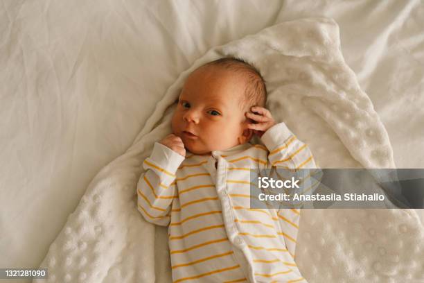 Cute Emotional Newborn Little Baby Boy In Crib Baby Goods Packaging Template Stock Photo - Download Image Now