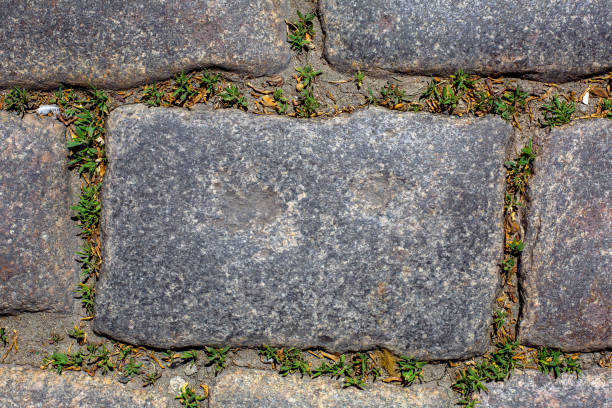 istock rectangle granite stone tile cobblestone floor of decorative backyard walkway closeup top view, nobody. 1321281795