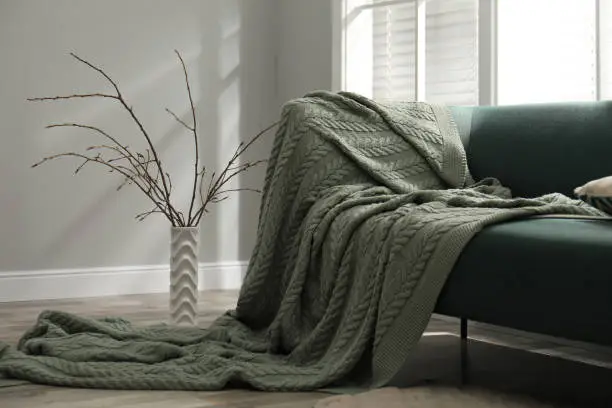 Photo of Beautiful tree twigs in vase on floor near sofa indoorsu