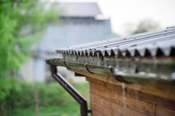 istock Rainwater drains off the roof. 1321286852