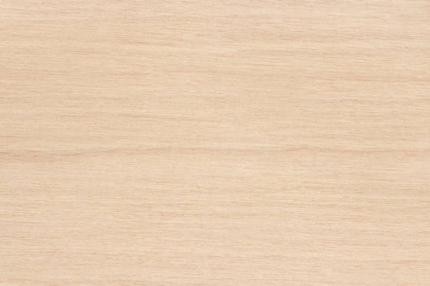 istock Plywood texture background, wooden surface in natural pattern for design art work. 1321288952