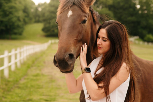 istock Young woman stroking a horse 1321290951