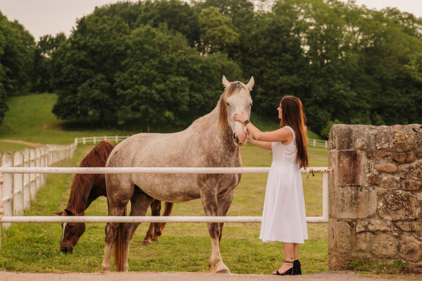 istock Young woman stroking a horse 1321291014