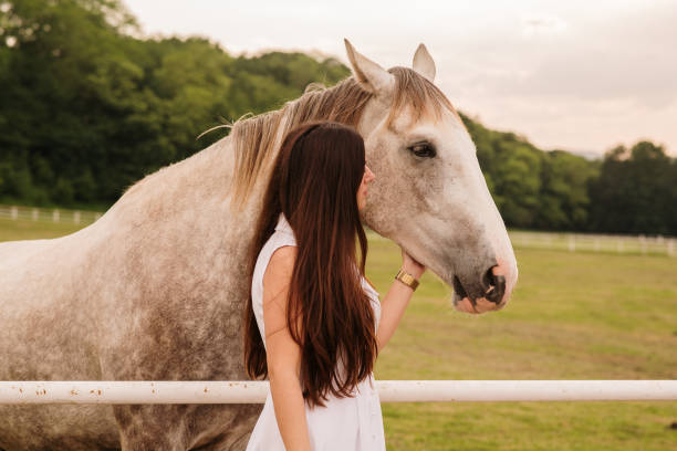 istock Young woman stroking a horse 1321291185