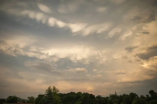 Photo of Mammatus clouds
