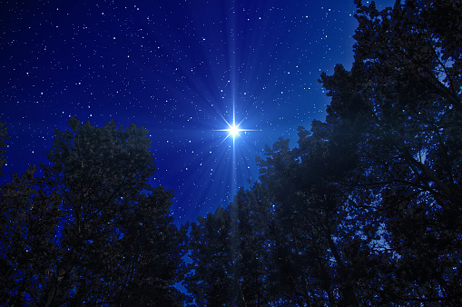The Christmas Star signifying the birth of Jesus Christ shines over the night forest in the starry blue sky.