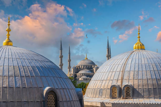 istock The Sultanahmet Mosque (Blue Mosque) in Istanbul 1321294885