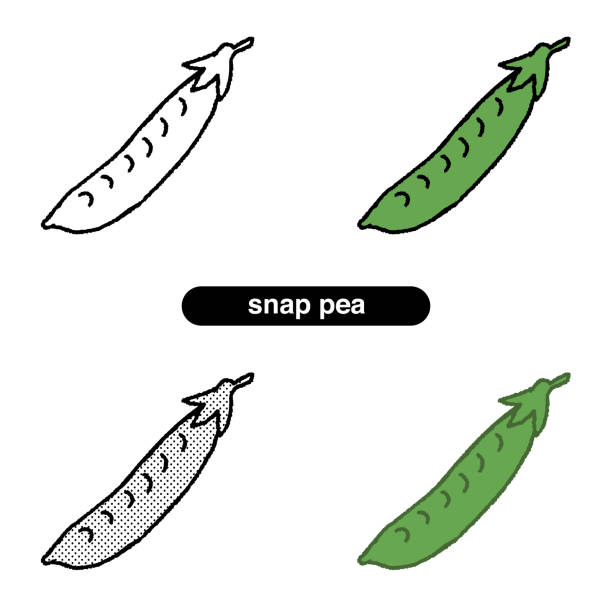 녹색과 노란색 야채의 스냅 완두콩의 그림 - healthy eating green pea snow pea freshness stock illustrations