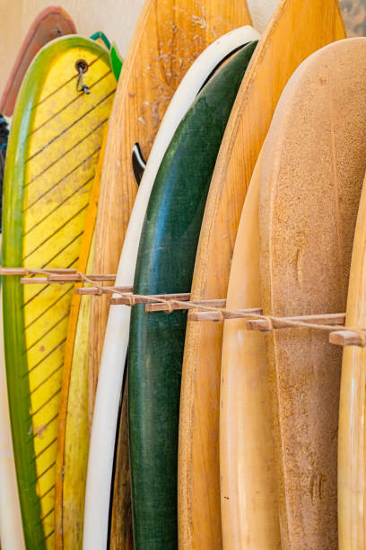 istock vintage surfboards lined up in a local surf shop 1321299874