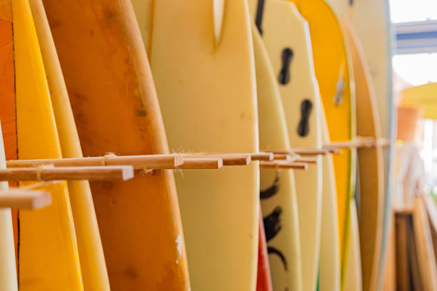 istock vintage surfboards lined up in a local surf shop 1321299949
