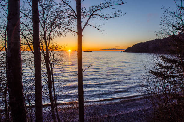 istock Sunset over trees at Lake Superior 1321300024