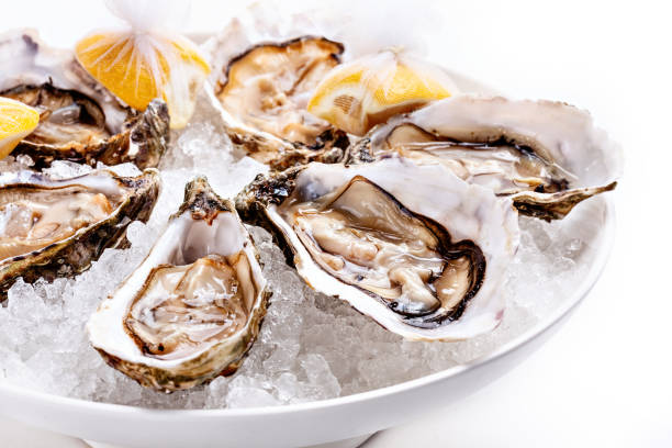 Half dozen fresh oysters are served with lemon in bowl with plenty of ice. Half dozen fresh oysters are served with lemon in bowl with plenty of ice. White background Close up. oyster photos stock pictures, royalty-free photos & images