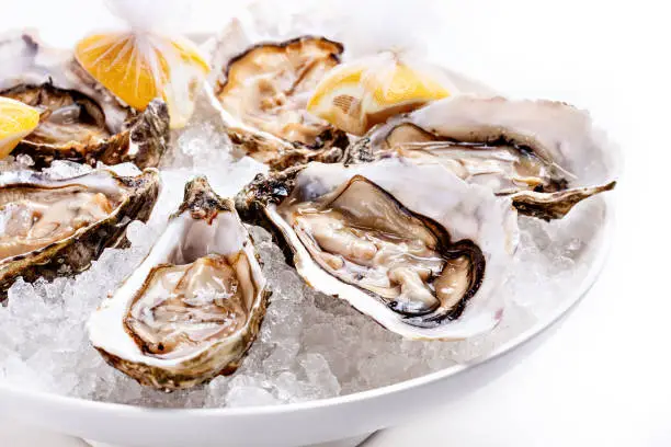 Photo of Half dozen fresh oysters are served with lemon in bowl with plenty of ice.