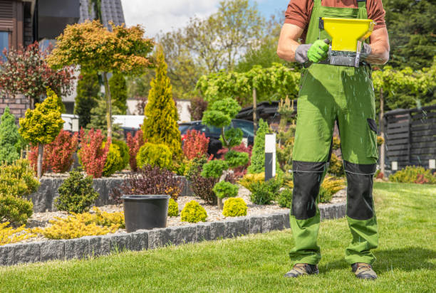 Garden Worker with Handheld Seeder Caucasian Garden Worker in His 40s with Hand Held Seeder Walking Along Backyard Grass Lawn and Distributing Fertilizer. lawn seeder stock pictures, royalty-free photos & images