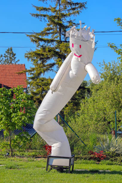 istock Air Dancer in Garden 1321306717