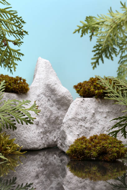 istock Template background for product presentation with branches of thuja, moss and stones against blue background. 1321307847