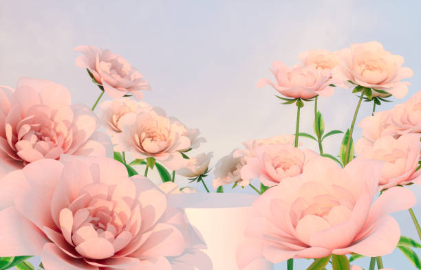 istock Natural beauty podium backdrop for product display with blue rose flower. 1321309759