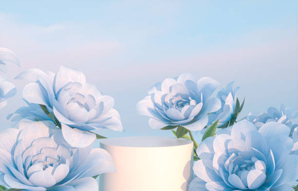 istock Natural beauty podium backdrop for product display with blue rose flower. 1321309766