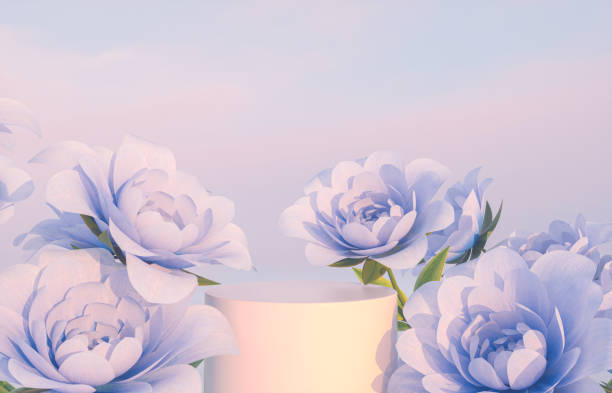 istock Natural beauty podium backdrop for product display with blue rose flower. 1321309767