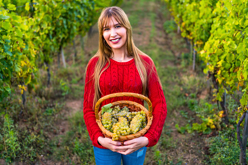 girl with long blond hair with a grape harvest in her hands