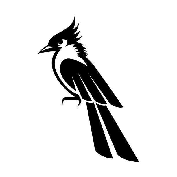 Black Vector Illustration On A White Background Of A Small Beautiful Bird  Stock Illustration - Download Image Now - iStock