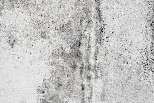 istock Distressed overlay texture of cracked concrete, stone or asphalt 1321311697