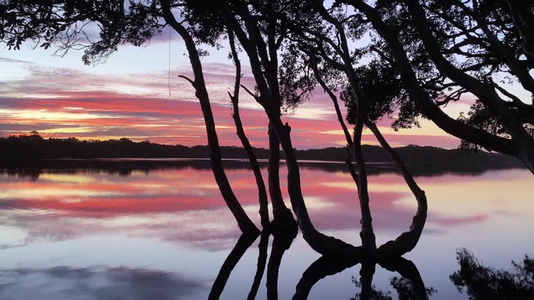 Sunset Sky Reflections on Lake Between Melaleuca Trees