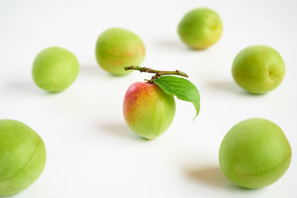 Japanese apricot fruits on white background
