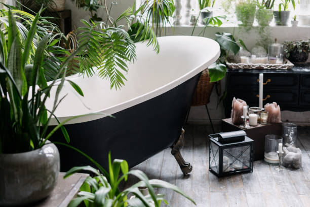 istock Black vintage freestanding bathtub with green plants 1321314695