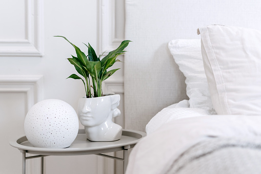 Green plant in futuristic white grecian bust pot with green plant and contemporary round lamp on bedside table standing close to bed with white linen in room with minimalistic design, cropped shot