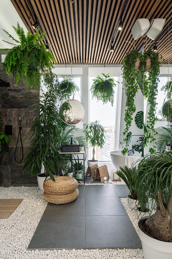 Concept of urban jungle interior. Vertical shot of cozy fully furnished bathroom decorated with green plants and natural organic design elements, white bathtub near panoramic window on pebble floor