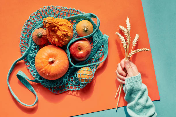 autumn flat lay with female hands in blue sweater and turquoise string bag with orange pumpkins. top view on layered paper background - high angle view brown directly above photography imagens e fotografias de stock