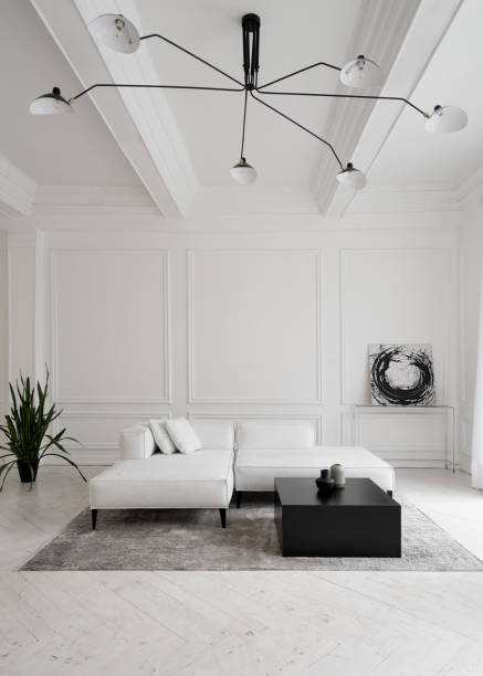 istock Room with white sofa, plant and abstract picture 1321315438