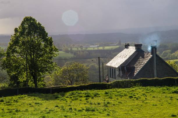 istock park natural auvergne 1321315452