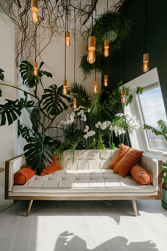 Sofá y plantas verdes en acogedora sala de estar photo