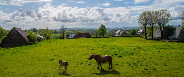 istock park natural auvergne 1321315475