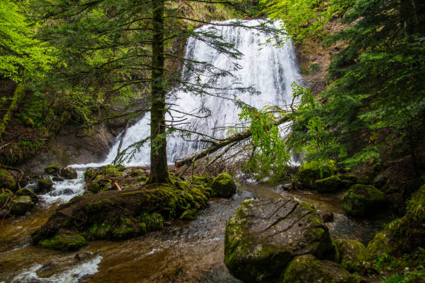 istock park natural auvergne 1321315588