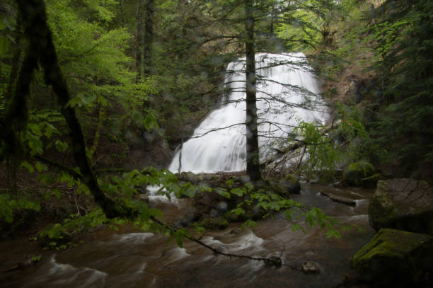istock park natural auvergne 1321315613