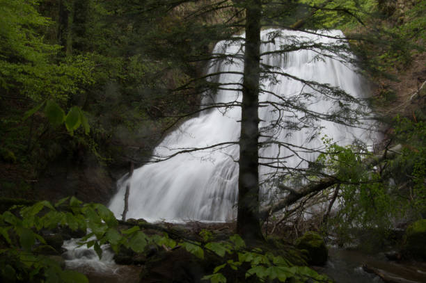 istock park natural auvergne 1321315628
