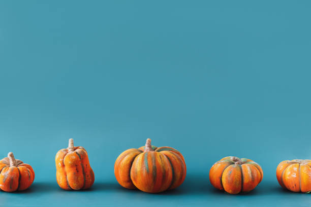 istock Handmade Pumpkins of different sizes stand in row against blue background 1321317373