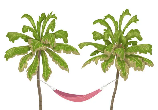 Vector illustration of Pink hammock hanging between two palm-trees