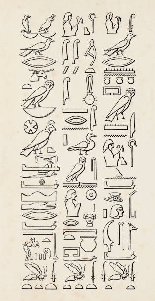 Ancient Egyptian Hieroglyphics Message Stock Illustration