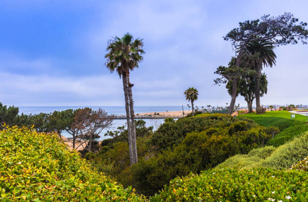 istock The sea of Pacific. 1321321081
