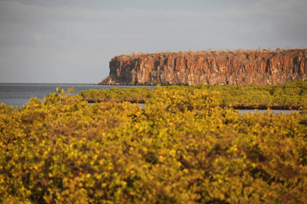 View of Santa Cruz island at Galapagos National Park Scenic view of Santa Cruz Island with cliff and plants at Galapagos National Park, Galapagos Island, Ecuador. santa cruz island galapagos islands stock pictures, royalty-free photos & images