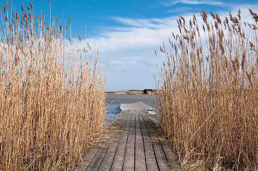 Lake Neusiedl, located in Austria, is one of the few steppelakes in Europe and the largest riverless lake in Central Europe. The lake has a species-rich reed belt with colourful fauna andflora, a shallow depth and a mild but windy climate.